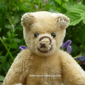 画像3: 【ウィットニー限定】セオドア　8.5cm