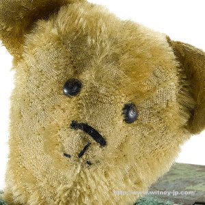 画像2: 1体のみ再入荷しました☆ ウィットニー2017ベア　24cm