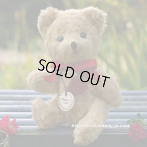画像1: 1体のみ再入荷しました！【ウィットニー限定】　ハッピーハート　15cm