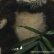 画像4: メリーソート【ウィットニー限定】ベビーチーキーパンダ 15cm (4)