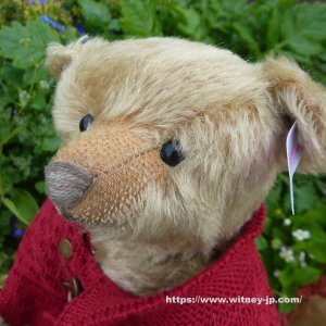 画像4: シュタイフ　【ウィットニー限定】 ストラトフォード1907レプリカ 30cm　113番