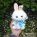 画像6: クレメンス社  ウサギのウィルコ 18cm (6)