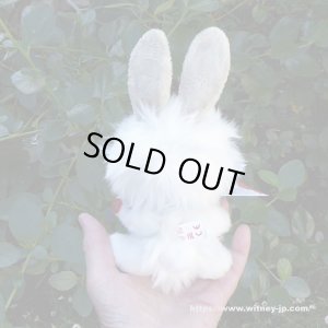 画像5: 残り1体☆ クレメンス社  ウサギのウィルコ 18cm   12番