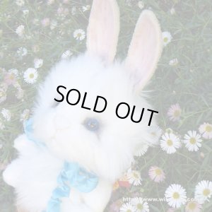 画像3: 残り1体☆ クレメンス社  ウサギのウィルコ 18cm   12番