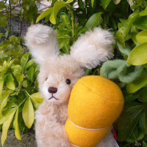 画像6: テディハーマン ギルバート 20cm