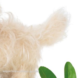 画像4: 数体のみ再入荷しました☆【ウィットニー限定】ボビー 17cm