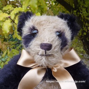 画像3: 残りわずか☆　メリーソート 【ウィットニー限定】オールドウィットニーパンダ　25cm  98番