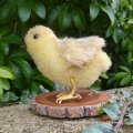 Chick by Cindy Malchoff  9.5cm（米）