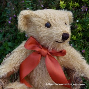 画像3: サイン入り☆【ウィットニー限定】メリーソート ウィットニーベア 25 cm  17番