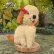画像4: SALE! Tezzie Tubbee Pup 16 cm by Deb Beardsley （アメリカ）2番