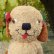 画像2: SALE! Tezzie Tubbee Pup 16 cm by Deb Beardsley （アメリカ）2番