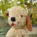 画像3: SALE! Tezzie Tubbee Pup 16 cm by Deb Beardsley （アメリカ）2番