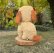画像5: SALE! Tezzie Tubbee Pup 16 cm by Deb Beardsley （アメリカ）2番 (5)