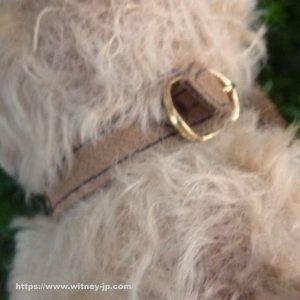 画像6: イアンさんのお気に入り☆【ウィットニー限定】ウォーリー 20cm