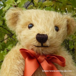 画像3: シリアルナンバー1番☆　【ウィットニー限定】メリーソート ウィットニーベア 25 cm