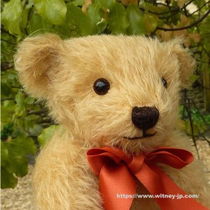 画像5: シリアルナンバー1番☆　【ウィットニー限定】メリーソート ウィットニーベア 25 cm