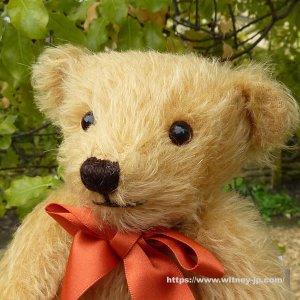画像4: シリアルナンバー1番☆　【ウィットニー限定】メリーソート ウィットニーベア 25 cm