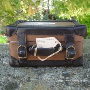 画像9: 【ウィットニー限定】セオドア　8.5cm