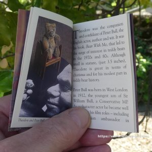 画像7: 【ウィットニー限定】セオドア　8.5cm