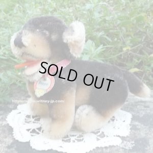 画像1: 10cm Steiff Beppo Dachshund 1952年〜1961年頃　（ビンテージ）