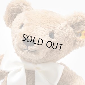 画像3: 【送料無料】2025年新作☆ シュタイフ  コージーイヤーベア 2025 34cm 