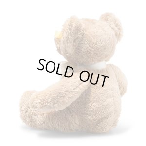 画像2: 【送料無料】2025年新作☆ シュタイフ  コージーイヤーベア 2025 34cm 