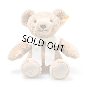 画像1: 【送料無料】2025年新作☆ シュタイフ  コージーイヤーベア 2025 34cm 