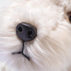 画像5:  【送料無料】 2025年新作☆ シュタイフ フォクシーフォックステリア 32cm