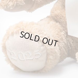 画像4: 【送料無料】2025年新作☆ シュタイフ  コージーイヤーベア 2025 34cm 