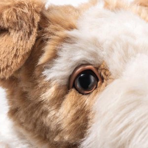 画像6:  【送料無料】 2025年新作☆ シュタイフ フォクシーフォックステリア 32cm