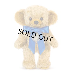 画像3: 2025年発売☆ メリーソート 95周年記念チーキー　30cm 