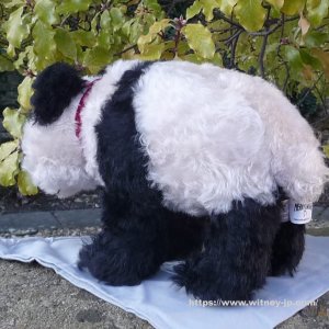 画像6: 2025年発売☆ メリーソート ヘリテージコレクション ミングパンダ 20cm  7番