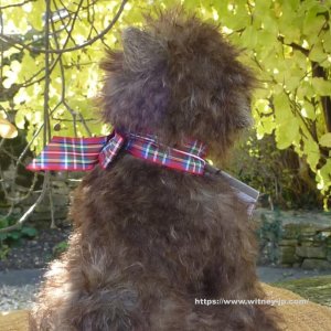 画像5: 2025年発売☆ メリーソート ヘリテージコレクション グレイフライアーズ ボビー 23cm  55番