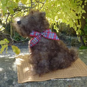 画像4: 2025年発売☆ メリーソート ヘリテージコレクション グレイフライアーズ ボビー 23cm  55番