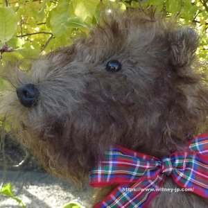 画像3: 2025年発売☆ メリーソート ヘリテージコレクション グレイフライアーズ ボビー 23cm  55番