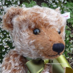 画像4:  2025年新作☆ シュタイフ ブリティッシュコレクターズテディベア 2025 36cm (イギリス限定）106番