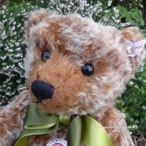 画像5:  2025年新作☆ シュタイフ ブリティッシュコレクターズテディベア 2025 36cm (イギリス限定）106番