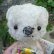 画像3: 1点もの☆Teddy Bear Loving Cuddle Bear, blue 17cm by 加藤日砂