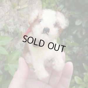画像4: 10cm Steiff Molly Puppy 推定1959年〜1967年頃　（ビンテージ）