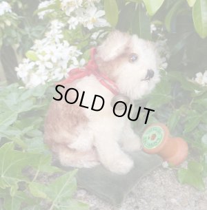 画像1: 10cm Steiff Molly Puppy 推定1959年〜1967年頃　（ビンテージ）