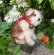 画像1: 10cm Steiff Molly Puppy 推定1959年〜1967年頃　（ビンテージ） (1)