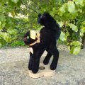 ID全てあり☆　Steiff Black Tom Cat 14cm 推定1950年-1958年（ビンテージ）