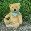 Steiff Blond Original Teddy 24cm 推定1950年代　（ビンテージ）