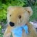 画像4: Steiff Blond Original Teddy 24cm 推定1950年代　（ビンテージ）