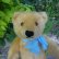 画像3: Steiff Blond Original Teddy 24cm 推定1950年代　（ビンテージ）