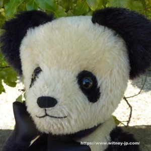 画像5: 40周年記念商品☆【ウィットニー限定】ピング 31cm 5番