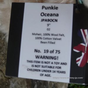 画像6: 残り1体☆　メリーソート パンキー・オセアナ　23cm  19番