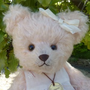 画像3: 40周年記念商品☆【ウィットニー限定】キャサリン 27cm 10番