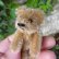 画像5: エクセレントコンディション☆ Schuco Mascot Bear, caramel 6.5cm 推定1950年代　（ビンテージ） (5)