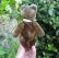 画像2: 珍しいお色です☆ Steiff Dark Brown Original Teddy 18cm 推定1950年代　（ビンテージ）